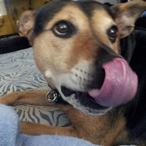 Meet your Posher, Jc